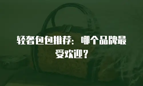 轻奢包包推荐：哪个品牌最受欢迎？