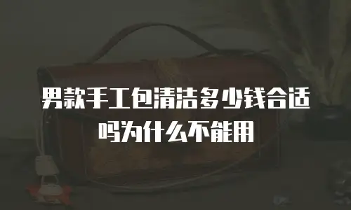 男款手工包清洁多少钱合适吗为什么不能用