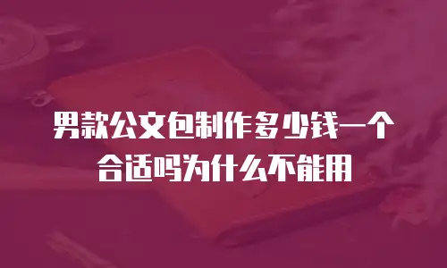 男款公文包制作多少钱一个合适吗为什么不能用