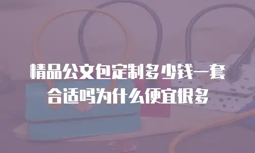 精品公文包定制多少钱一套合适吗为什么便宜很多