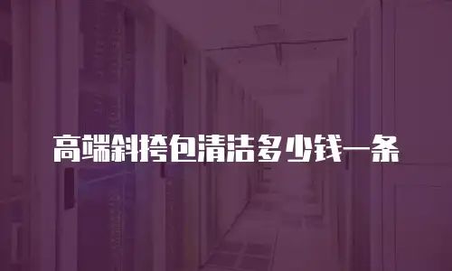 高端斜挎包清洁多少钱一条