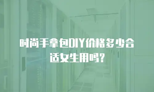 时尚手拿包DIY价格多少合适女生用吗？