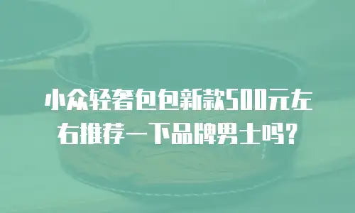 小众轻奢包包新款500元左右推荐一下品牌男士吗？