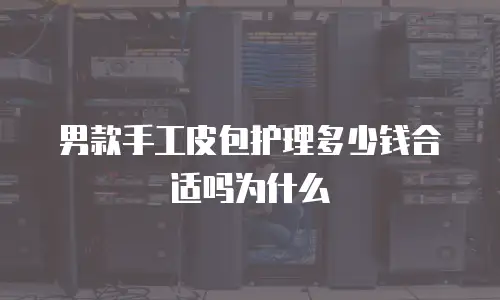男款手工皮包护理多少钱合适吗为什么
