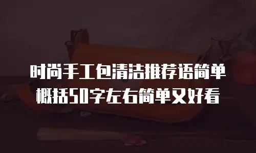 时尚手工包清洁推荐语简单概括50字左右简单又好看
