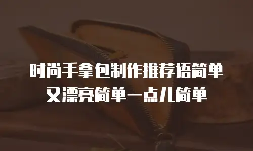 时尚手拿包制作推荐语简单又漂亮简单一点儿简单