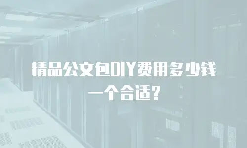 精品公文包DIY费用多少钱一个合适？