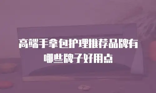 高端手拿包护理推荐品牌有哪些牌子好用点