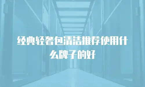 经典轻奢包清洁推荐使用什么牌子的好