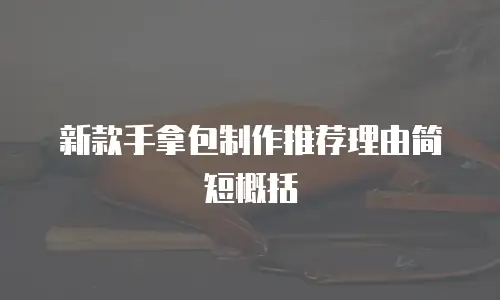 新款手拿包制作推荐理由简短概括