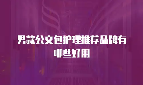 男款公文包护理推荐品牌有哪些好用