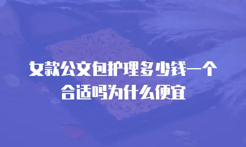 女款公文包护理多少钱一个合适吗为什么便宜