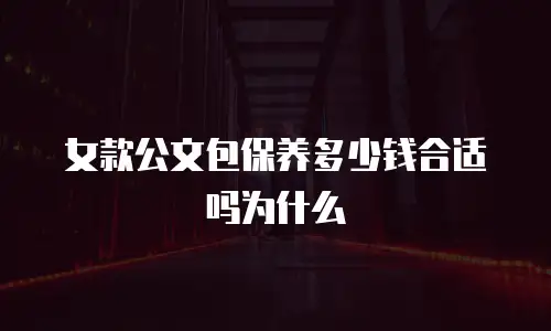 女款公文包保养多少钱合适吗为什么