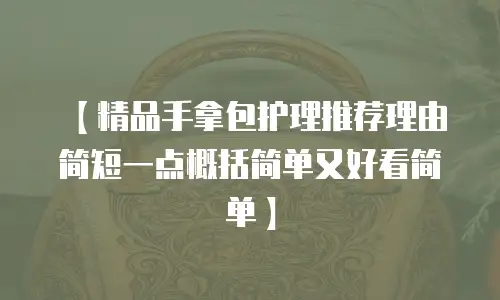 【精品手拿包护理推荐理由简短一点概括简单又好看简单】