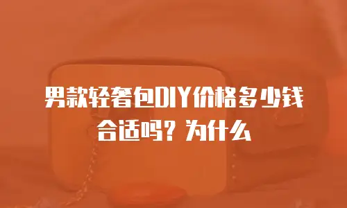 男款轻奢包DIY价格多少钱合适吗？为什么