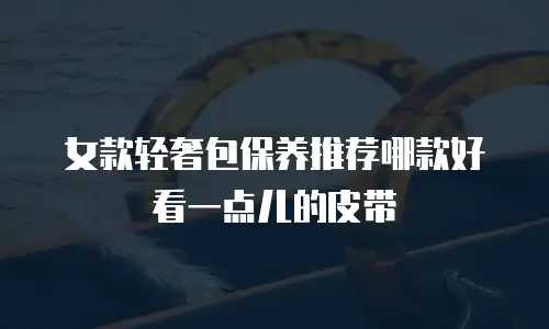 女款轻奢包保养推荐哪款好看一点儿的皮带