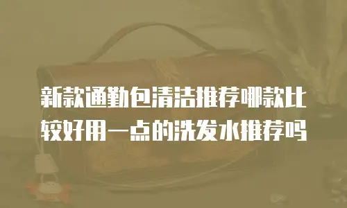 新款通勤包清洁推荐哪款比较好用一点的洗发水推荐吗