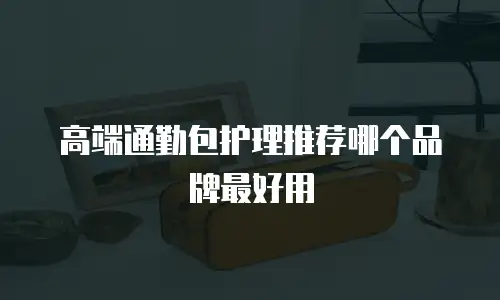 高端通勤包护理推荐哪个品牌最好用