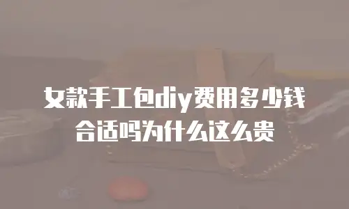 女款手工包diy费用多少钱合适吗为什么这么贵