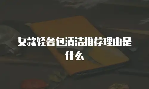 女款轻奢包清洁推荐理由是什么