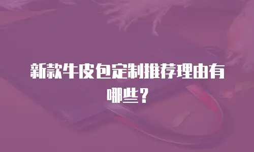 新款牛皮包定制推荐理由有哪些？