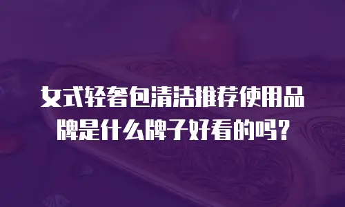女式轻奢包清洁推荐使用品牌是什么牌子好看的吗？