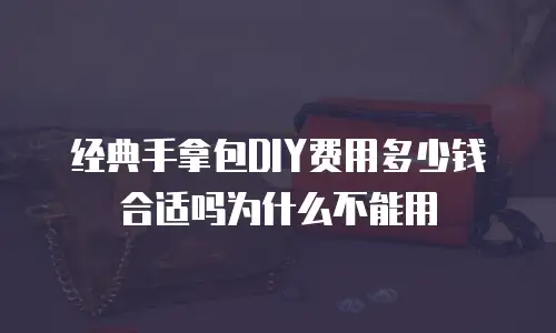 经典手拿包DIY费用多少钱合适吗为什么不能用
