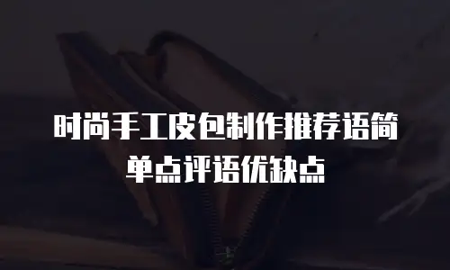 时尚手工皮包制作推荐语简单点评语优缺点