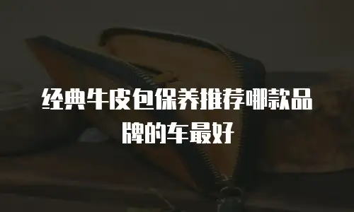 经典牛皮包保养推荐哪款品牌的车最好
