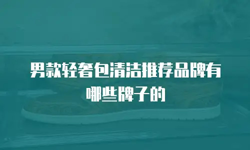 男款轻奢包清洁推荐品牌有哪些牌子的