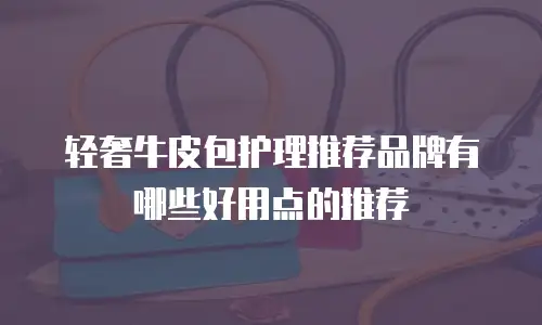 轻奢牛皮包护理推荐品牌有哪些好用点的推荐