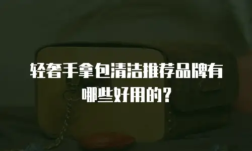 轻奢手拿包清洁推荐品牌有哪些好用的？