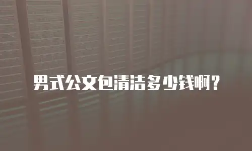 男式公文包清洁多少钱啊？