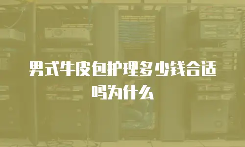 男式牛皮包护理多少钱合适吗为什么