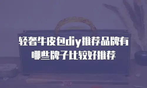 轻奢牛皮包diy推荐品牌有哪些牌子比较好推荐