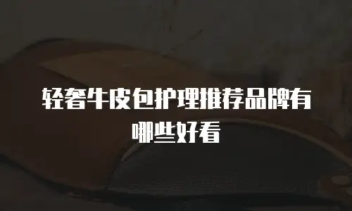 轻奢牛皮包护理推荐品牌有哪些好看