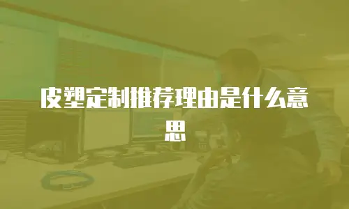 皮塑定制推荐理由是什么意思