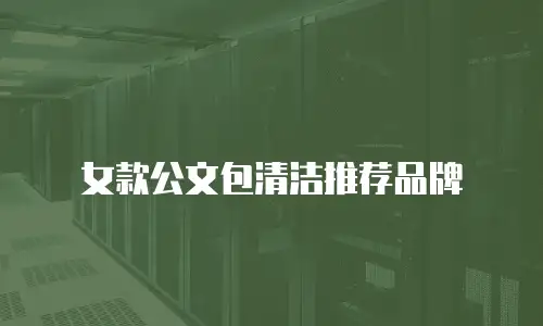 女款公文包清洁推荐品牌