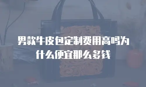 男款牛皮包定制费用高吗为什么便宜那么多钱