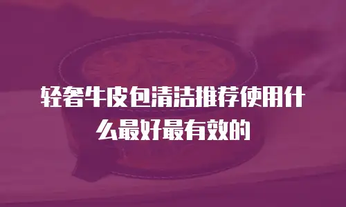 轻奢牛皮包清洁推荐使用什么最好最有效的