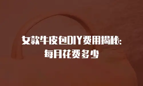 女款牛皮包DIY费用揭秘：每月花费多少