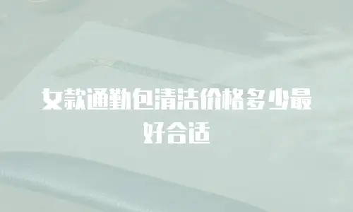 女款通勤包清洁价格多少最好合适