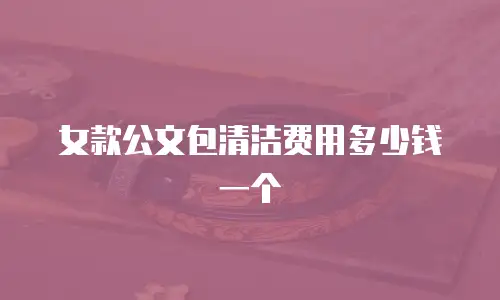 女款公文包清洁费用多少钱一个