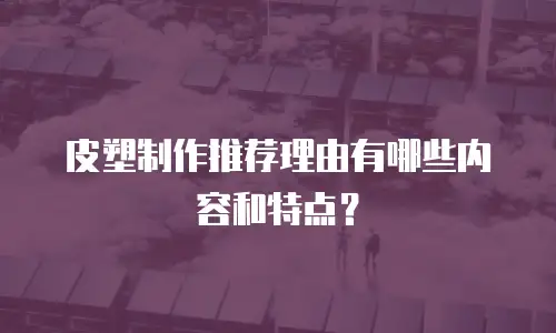 皮塑制作推荐理由有哪些内容和特点？