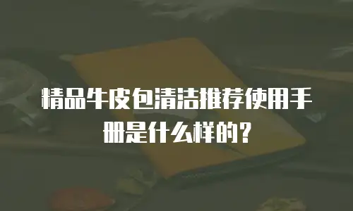 精品牛皮包清洁推荐使用手册是什么样的？