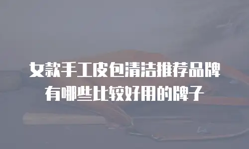 女款手工皮包清洁推荐品牌有哪些比较好用的牌子