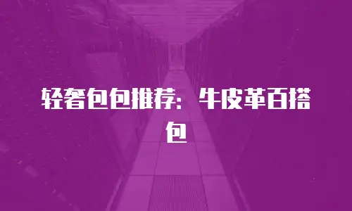轻奢包包推荐：牛皮革百搭包