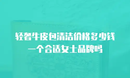 轻奢牛皮包清洁价格多少钱一个合适女士品牌吗