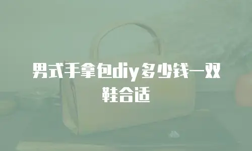 男式手拿包diy多少钱一双鞋合适