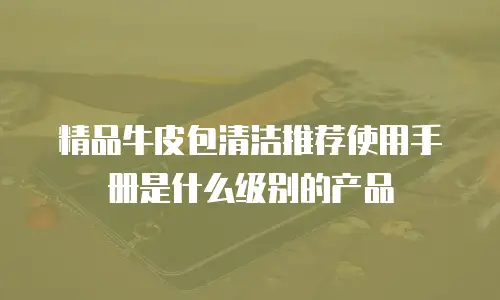 精品牛皮包清洁推荐使用手册是什么级别的产品